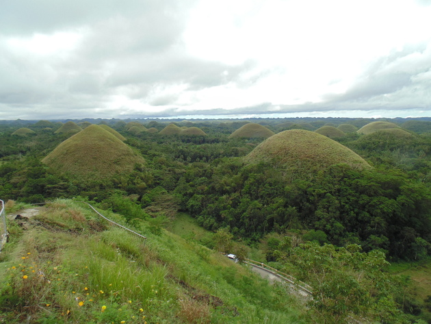 Chocolate hills