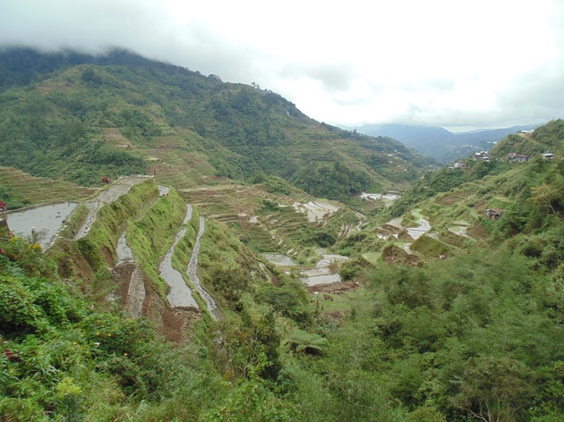 ryžové terasy, Banaue