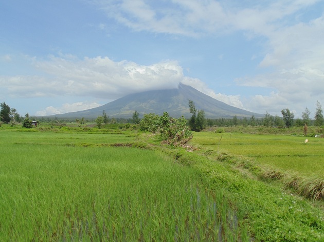 Mt. Mayon